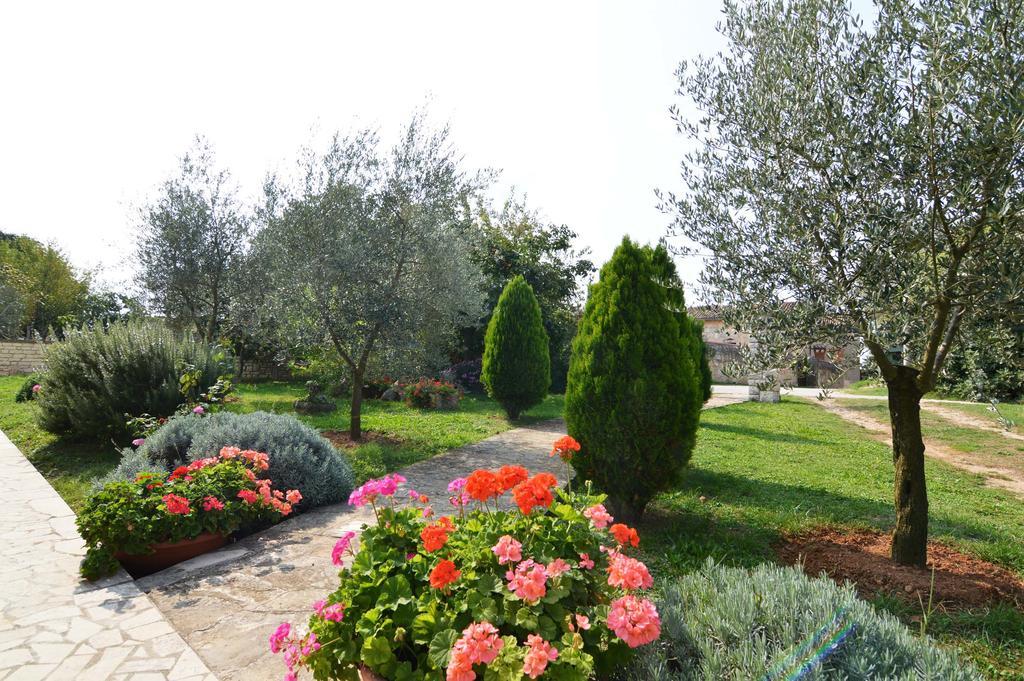 Garden Apartment Maria Vrsar Εξωτερικό φωτογραφία