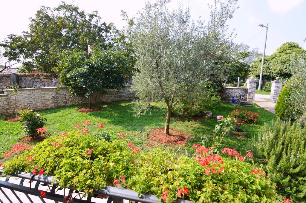 Garden Apartment Maria Vrsar Εξωτερικό φωτογραφία